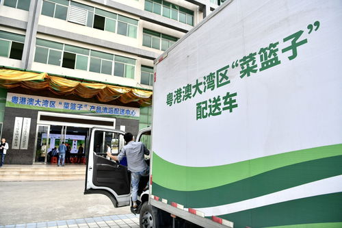 8月第一周，清遠城市配送關鍵詞聚焦“菜籃子”保障力