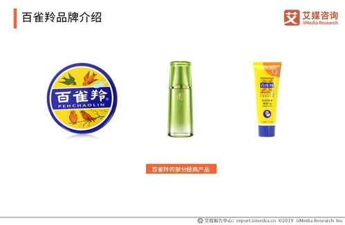 2019-2020年中國個(gè)人洗護(hù)用品電商市場主要企業(yè)分析 冠享電商的崛起與挑戰(zhàn)